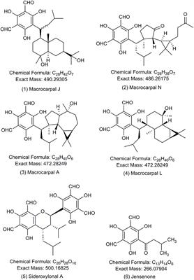 Quantification and Localization of Formylated Phloroglucinol Compounds (FPCs) in Eucalyptus Species